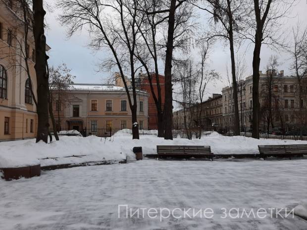 «Нужно другого, а этого уволить»: петербургские дети нашли способ быстрой уборки снега в Петербурге