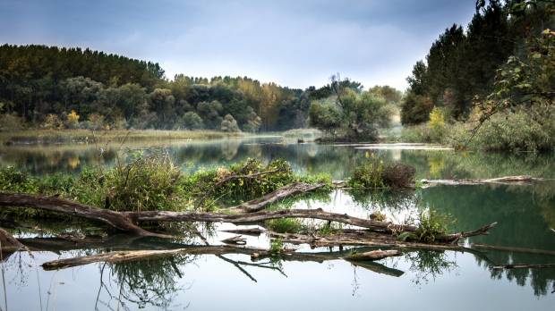 Очистку водоёмов в Белгородской области начнут с реки Ворскла