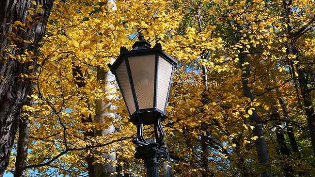 В Петербурге более 400 светильников установят на проспекте Культуры