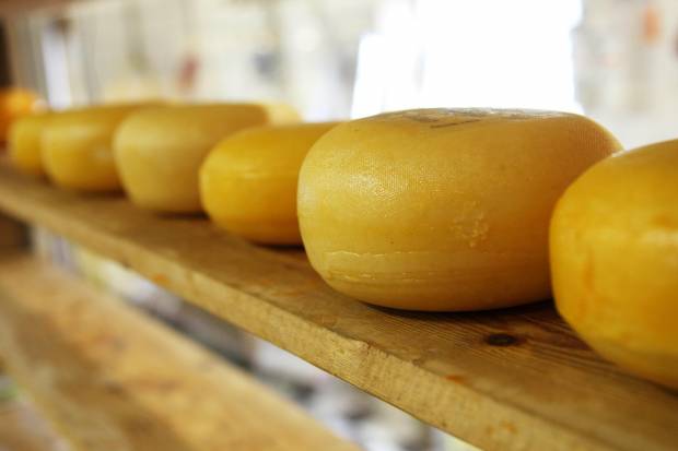 В Петербурге производителям сыров и йогуртов не хватает ингредиентов