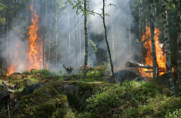 Пожароопасный сезон в Петербурге начнётся с 15 апреля