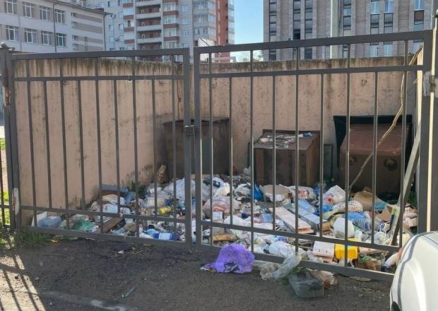 Петербуржцы продолжают массово жаловаться на антисанитарию и горы мусора во дворах