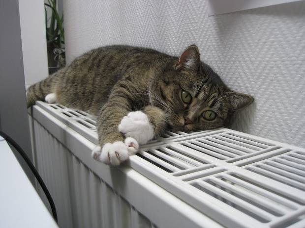 Более 16 тысяч чебоксарцев обратились по вопросам теплоснабжения