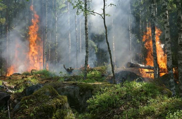 В Ярославской области продлили действие особого противопожарного режима