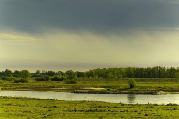 В Мордовии продолжаются работы по сохранению водных объектов