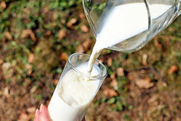 В Рыбинске с полок магазинов пропало молоко