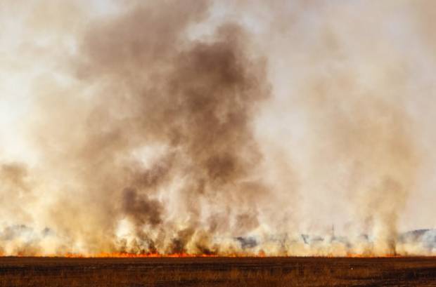 В Волгоградской области пожарный поезд тушил горящую траву в степи