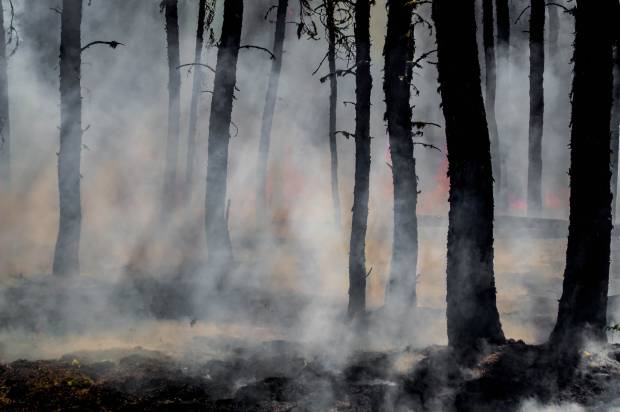 Во Владимирской области село засыпало пеплом от лесных пожаров
