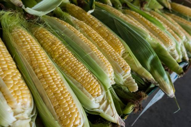 Лжепоставщик кукурузы обманул два предприятия на Ставрополье