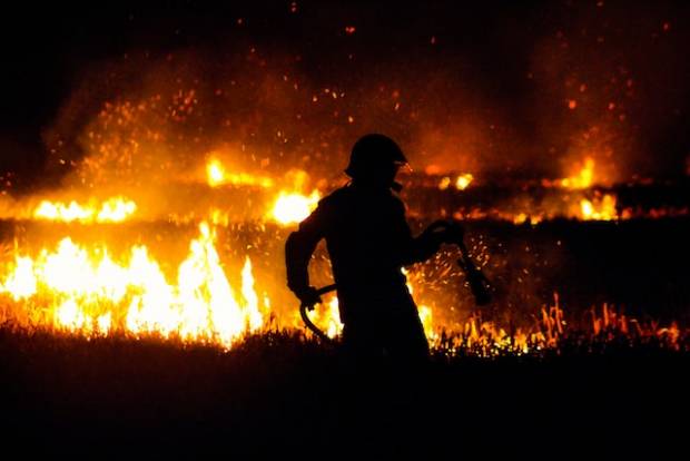 В Мордовии с начала весны трава выгорела на площади более 400 га