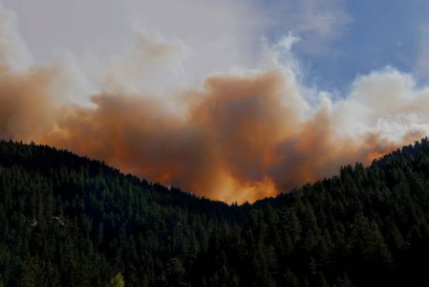 В Сафоновском районе тушили лесной пожар