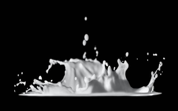 Сербское правительство ограничило стоимость молока