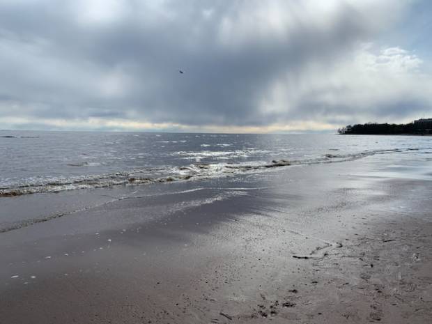 В Петербурге эксперты рассчитали ежегодную скорость отступа береговой линии Финского залива