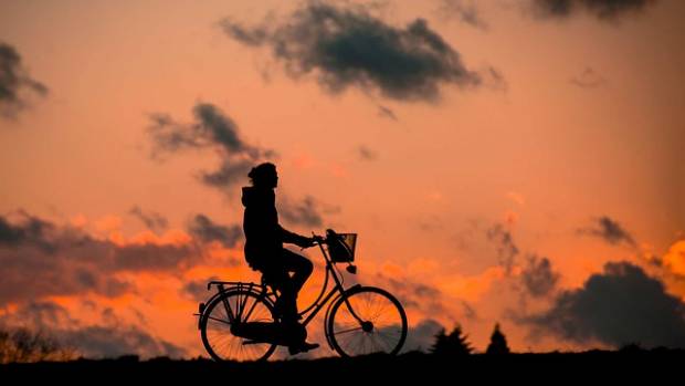 В Гатчине проходит двухдневный велопробег