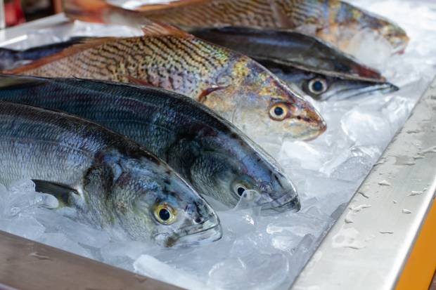 Из кировских магазинов изъяли 40 кг опасной рыбы
