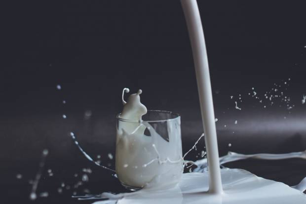 В Тульской области нашли производителей некачественной «молочки»