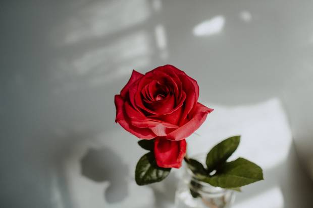 Агата Муцениеце рассказала о поклоннике, оставившем ей розу на машине