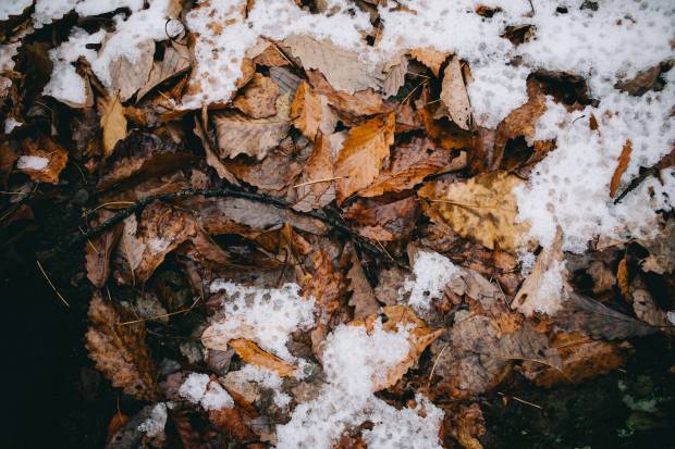 Первый мороз в Краснодаре ударит в ночь на 16 ноября