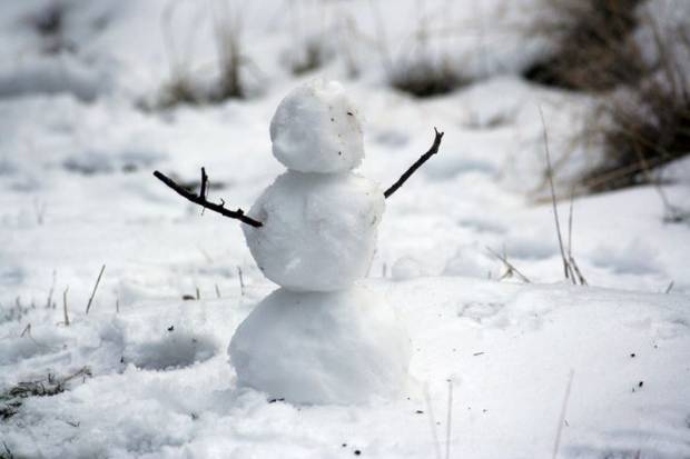 Вывозом снега с улиц в Петербурге занялись 500 дополнительных самосвалов
