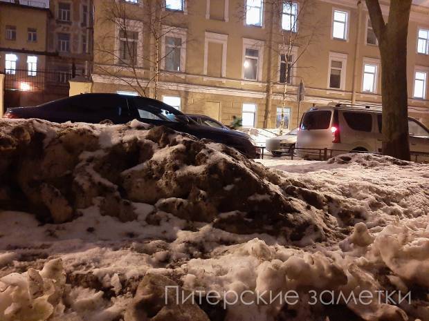 В Петербурге складируют под деревьями грязный снег с солью и реагентами