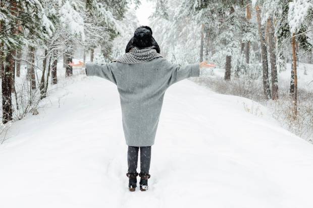 В Петербурге 24 января прогнозируют оттепель и мокрый снег