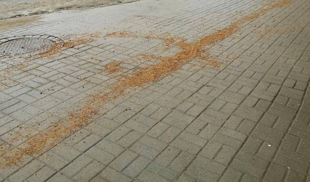 Петербургские коммунальщики посыпают песком сухие и чистые тротуары, игнорируя опасный лед – очевидцы