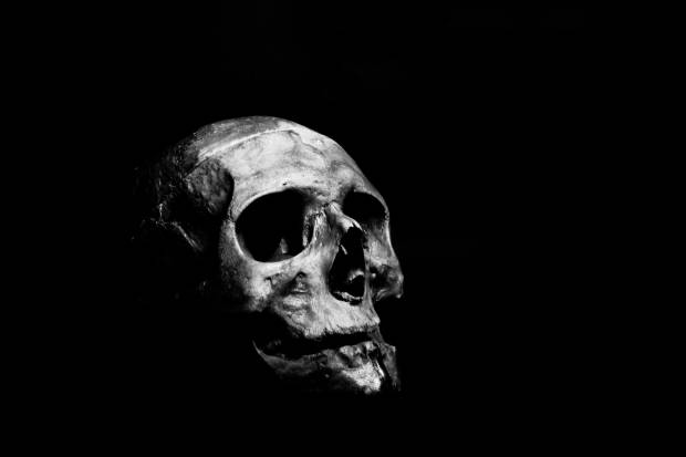В Калифорнийском университете обнаружили  человеческие останки