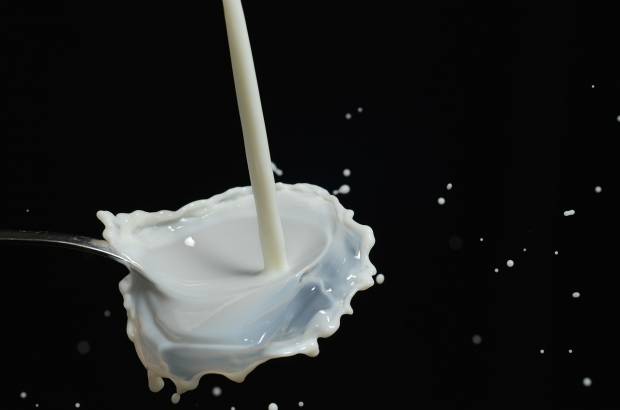 Предприятие в Тюмени купило для производства продукции 300 кг просроченного молока