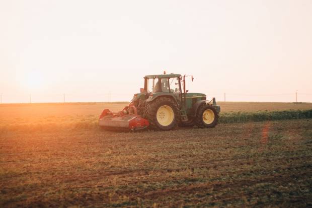 Аграрии Ивановской области впервые отправили зерно на экспорт