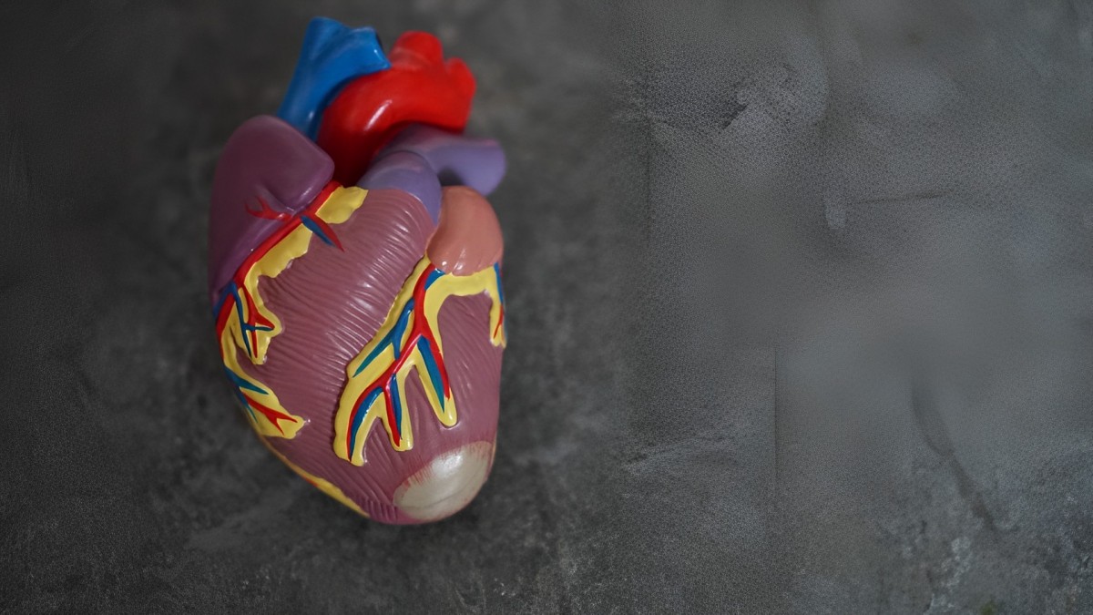 Здоровье сердца: какие три полезные привычки убивают этот орган