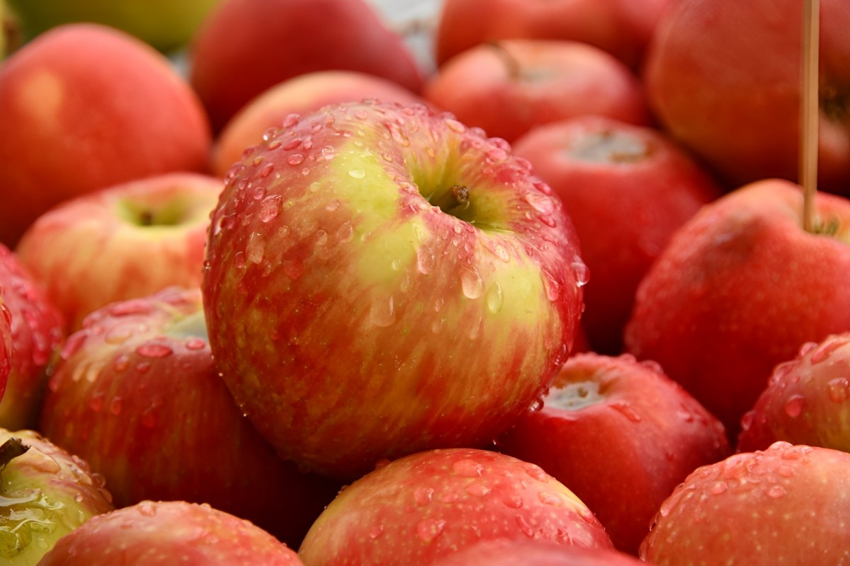 Почему нельзя есть яблоки 7 причин