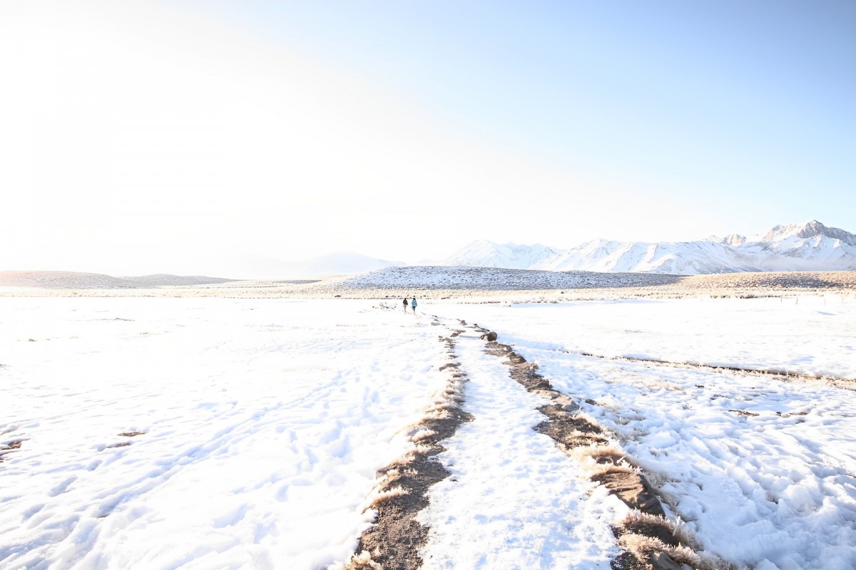Арктический район Якутии поиск остатков древних животных