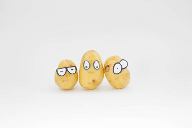 Картофель хуже сахара: с чем нельзя есть картошку
