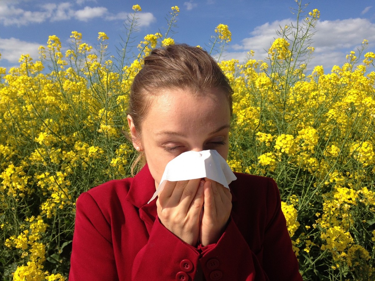 Дерматовенеролог сообщил как можно справиться с аллергией на пыльцу без лекарств