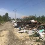 Список стихийных свалок в Петербурге пополнился. Горы строительного мусора экологи выявили в Московском районе