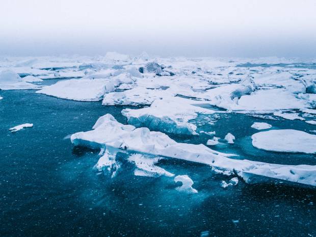 Новая житница страны Российские учёные раскрыли неожиданный потенциал Арктики