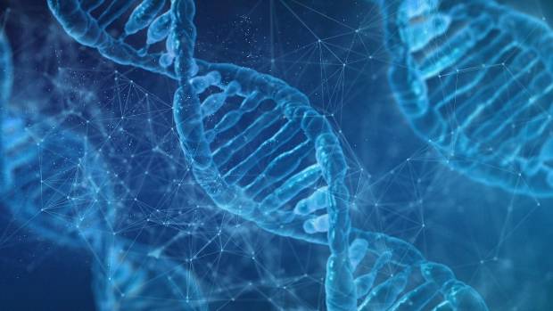 Учёные установили как работает процесс обработки генетической информации