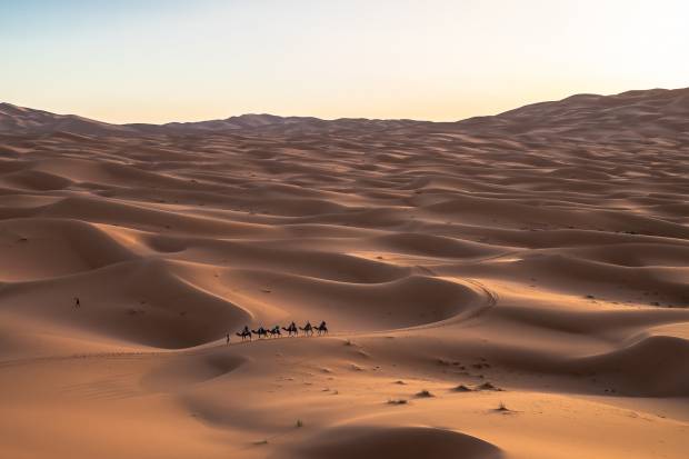В Саудовской Аравии стартуют съемки эпического фильма Антара от режиссера Лары Крофт