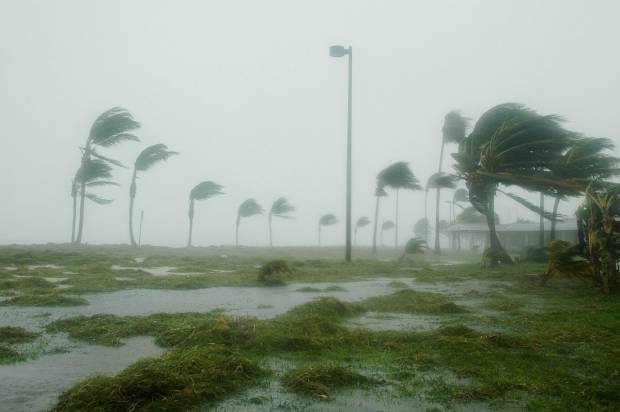Постояльцев отеля не предупредили о приближении урагана Идалия