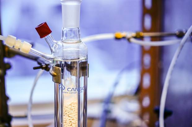 Учёные раскрыли механизмы экструзии и ингибирования желчных солей