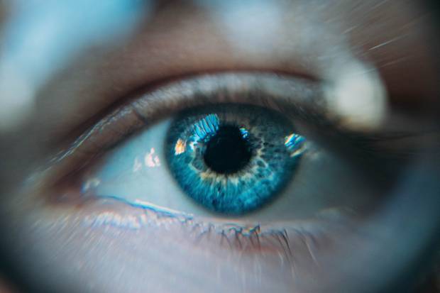 Ученые выяснили что железо играет ключевую роль в развитии глазного токсоплазмоза