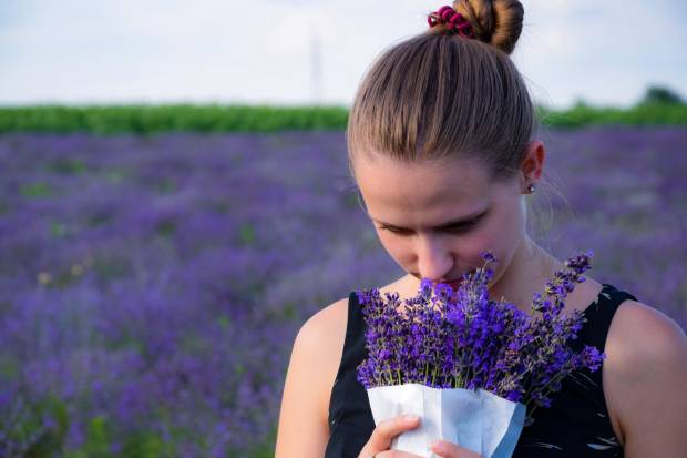 Как ноздри влияют на восприятие запахов мозгом