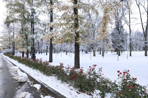 На следующей неделе в Петербурге ожидается потепление сообщили синоптики