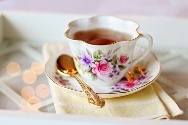 Чай поможет сохранить растения в заморозки сообщила специалист