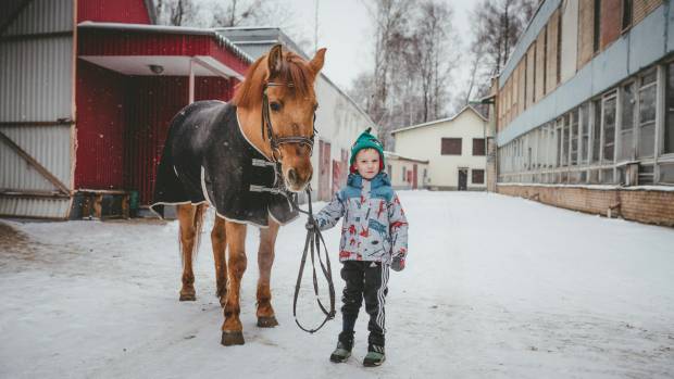 Кому подходит лечение с помощью лошадей рассказала иппотерапевт Наталия Сладкова