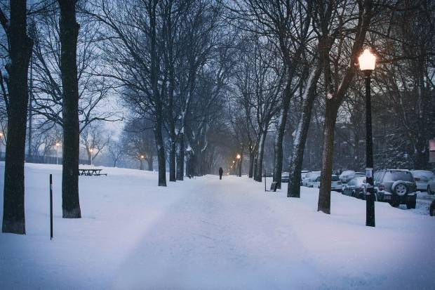 С начала зимы в Петербурге вывезли более 15 млн кубометров снега